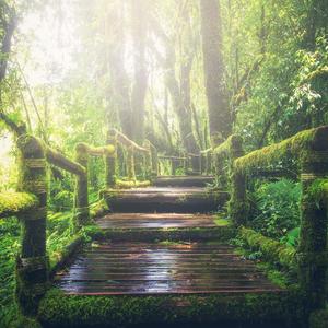 粗大与亲女伦交换H
